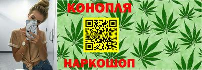 спиды Камышлов