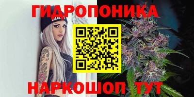 ALPHA-PVP Кандалакша