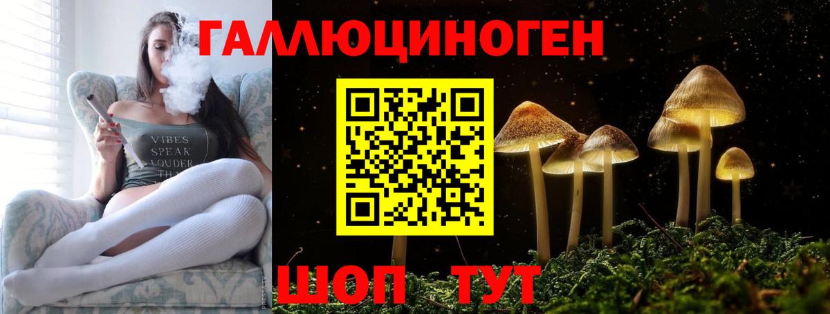 Галлюциногенные грибы GOLDEN TEACHER Коркино